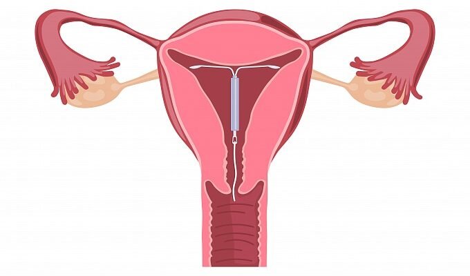 Еволюція спіралі: як форма впливає на природу та технології