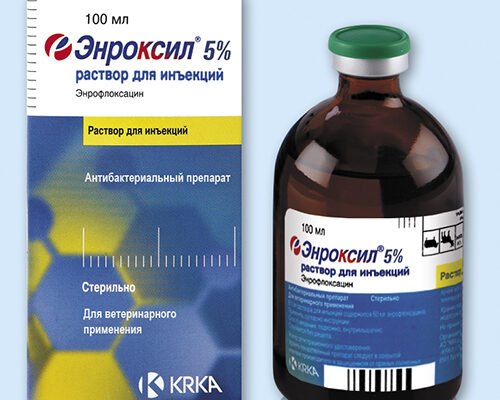 Енроксил: інструкція, застосування та особливості препарату для тварин