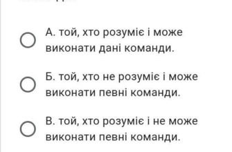 Хто такий виконавець: визначення ролі та обов’язків у проекті