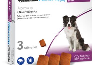 Ефективний захист для вашого улюбленця: огляд препарату Нексгард