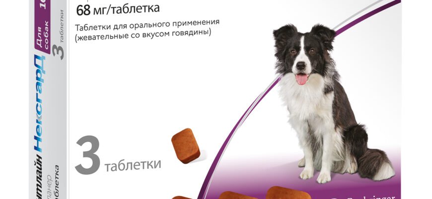 Ефективний захист для вашого улюбленця: огляд препарату Нексгард