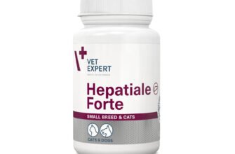 Гепатиале Форте: переваги та застосування для здоров’я печінки