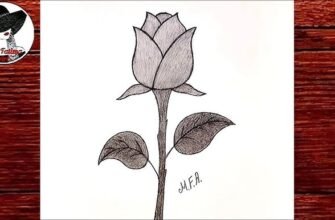 Як намалювати розу: покрокова інструкція для початківців художників