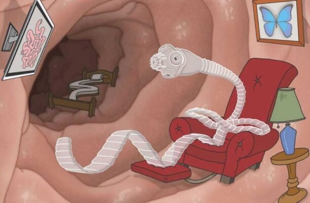 Ефективні народні методи від глистів при вагітності: корисні рецепти