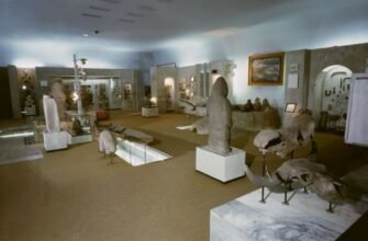 Графік роботи історичного музею Дніпра: коли відвідати виставки?