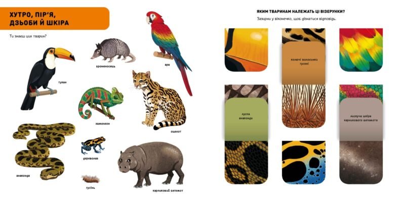 Хто мешкає в джунглях: відкрийте таємниці дикої природи