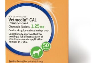 Ветмедин 1 25: Ефективний препарат для підтримки серця ваших улюбленців