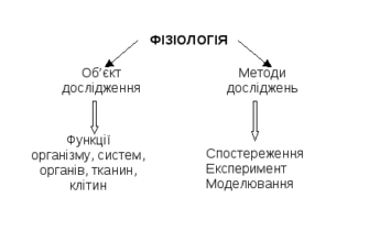 Методи фізіологічних досліджень: сучасні підходи та інструменти аналізу
