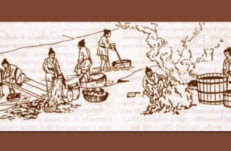 Хто винайшов папір: історія винаходу та шлях до сучасності