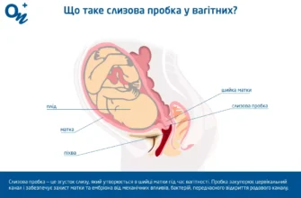 Як виглядає пробка у вагітних: основні ознаки та особливості