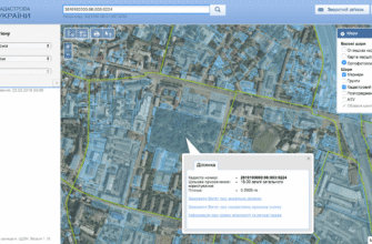 Як знайти земельну ділянку за прізвищем власника: покрокова інструкція