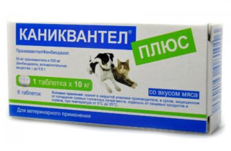 Каніквантел: Як ефективно використовувати для захисту тварин від глистів
