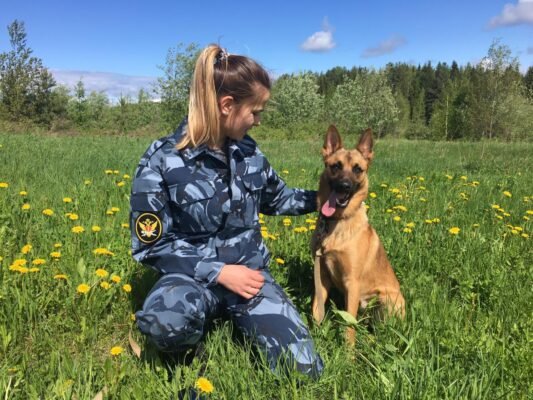 Хто такий кінолог: детальний огляд професії в Україні