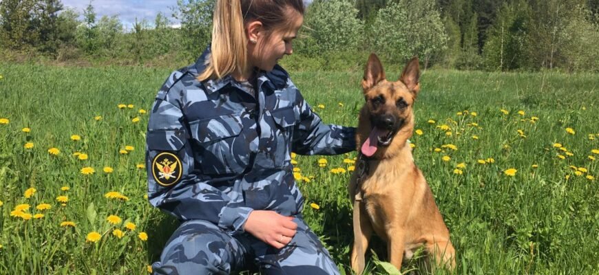 Хто такий кінолог: детальний огляд професії в Україні