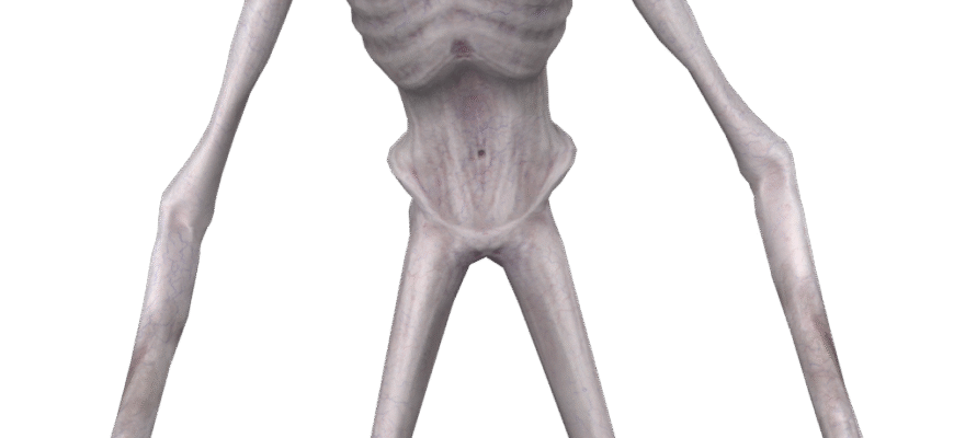 Хто такий скромник: значення терміна та його риси характеру