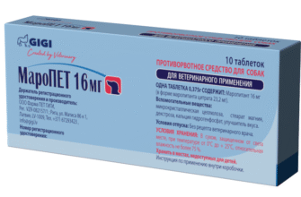 “Маропет: що це таке і як він впливає на сучасне суспільство?”