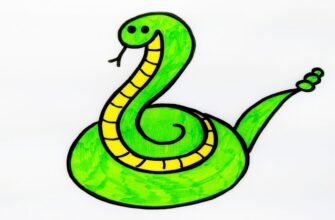 Як намалювати змію легко: покроковий гайд для початківців художників