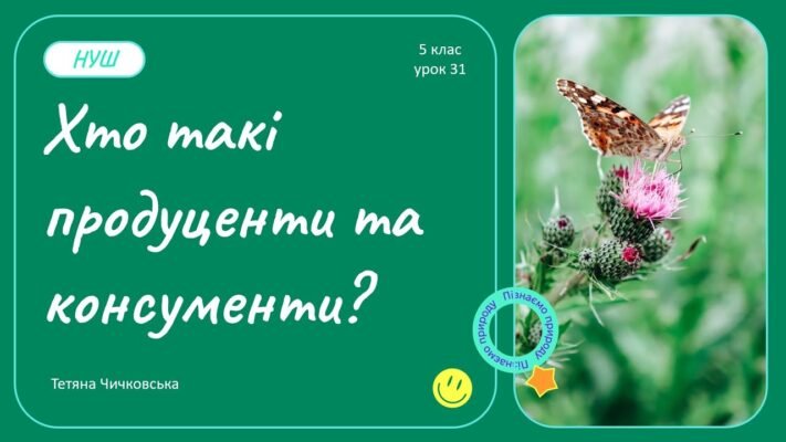Хто такі продуценти: роль та значення в екосистемах планети