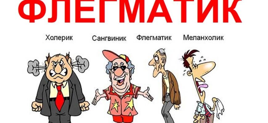 Хто такий флегматик: дізнайтеся більше про цей тип темпераменту