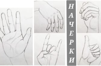 Як намалювати руку: покрокова інструкція для початківців-художників
