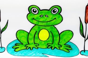 Як намалювати жабу: покрокова інструкція для початківців художників