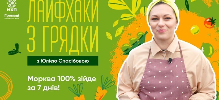 Як сіяти моркву, щоб швидко зійшла: поради та методи