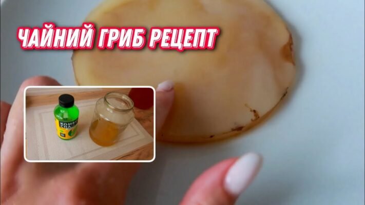 Як виростити чайний гриб: поради та рекомендації для успіху