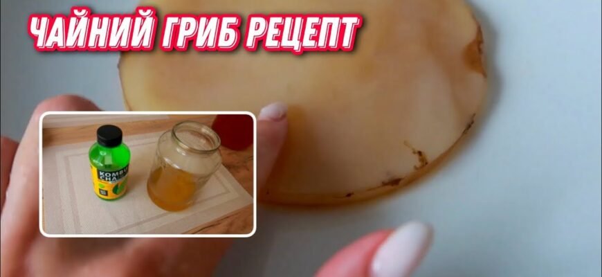 Як виростити чайний гриб: поради та рекомендації для успіху