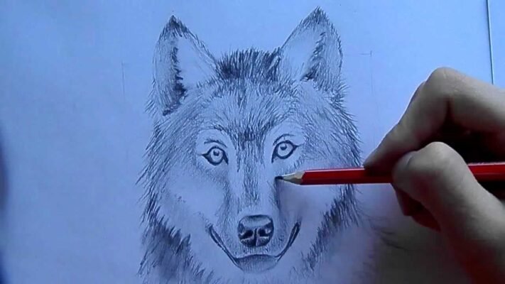 Як намалювати вовка: покрокова інструкція та поради для початківців