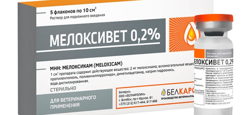 Мелоксивет: інноваційний підхід до лікування запалень у тварин