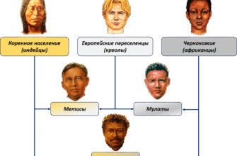 Хто такі метиси: визначення та особливості цієї змішаної групи