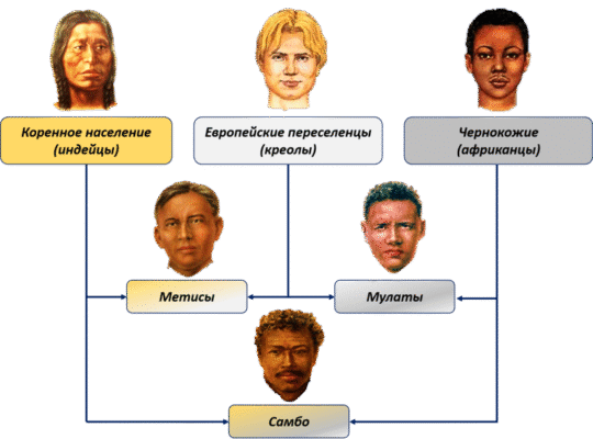 Хто такі метиси: визначення та особливості цієї змішаної групи
