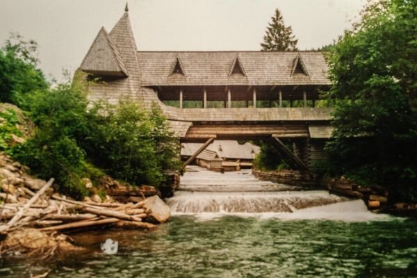 Відкрийте таємниці природи в Музеї лісу і сплаву: історія та експозиції