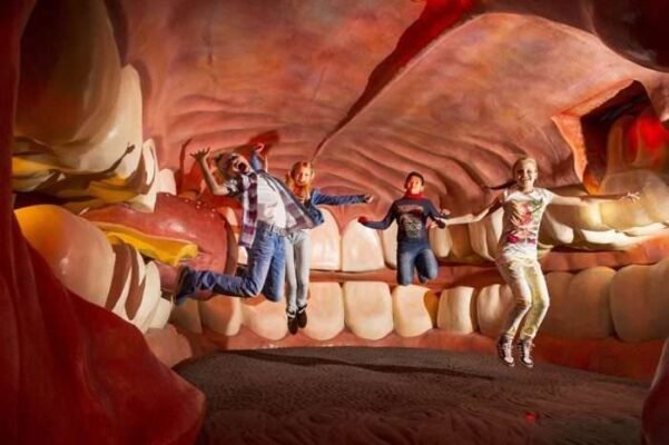 Дізнайтесь про ціни на музей Всередині Людини у Києві 2023