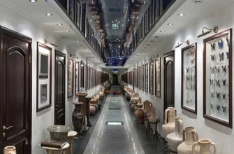 Музей метеликів Київ: захопливий світ крилатих красенів у столиці