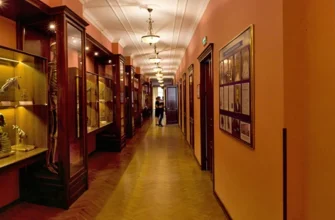 Відкрийте для себе музей анатомії людини: подорож у світ тіла