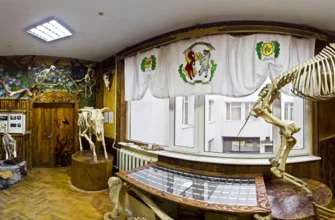 Відвідайте музей анатомії: захоплююча подорож у світ людського тіла