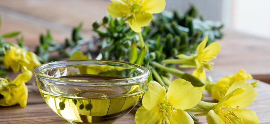 “Примула вечерняя: Лікувальні властивості та догляд за рослиною”