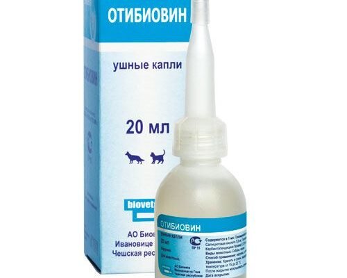 Отібіовін: Як підвищити здоров’я завдяки новому відкриттю
