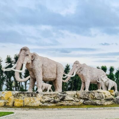 Музей історії Землі: подорож крізь минуле нашої планети