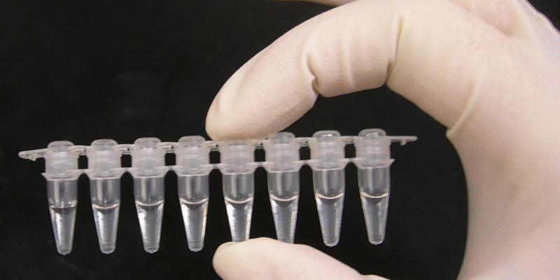 Хто винайшов метод полімеразної ланцюгової реакції (ПЛР)?