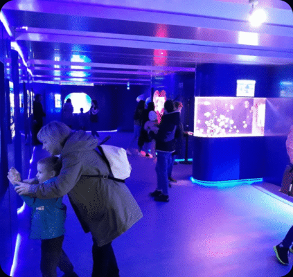 Відвідайте музей медуз: актуальні ціни та вражаючі експозиції