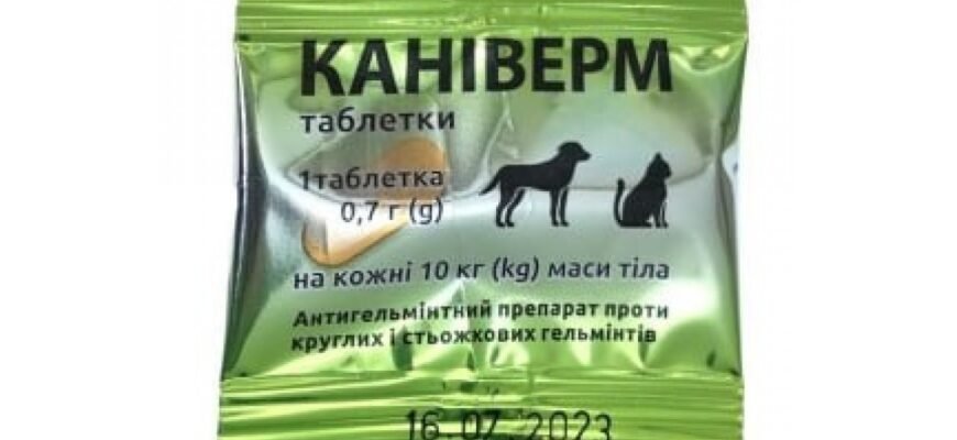 Каніверм: як вибрати ефективний засіб для захисту домашніх улюбленців