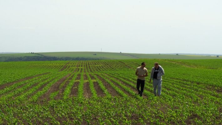 Хто купує земельні паї в Україні: ключові покупці та їх інтереси