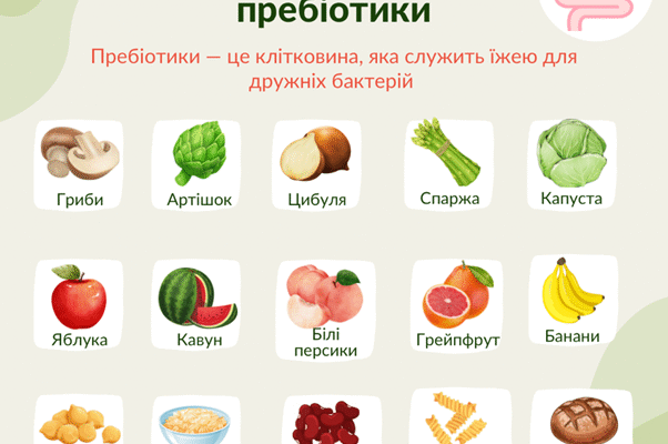 Як правильно приймати пробіотики: до їжі чи після? Роз’яснення експертів