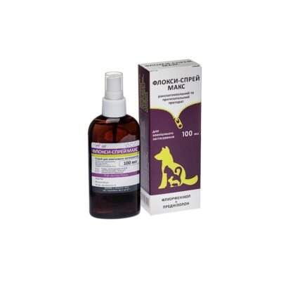 Флокси Спрей: Як правильний вибір забезпечує пишний цвітник