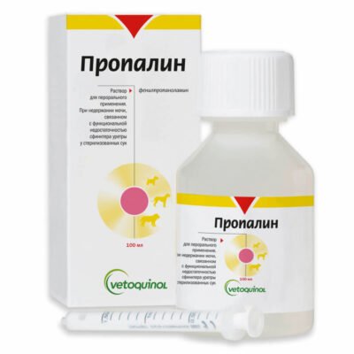 “Пропалин: Ключові Етапи та Їх Вплив на Сучасне Будівництво”