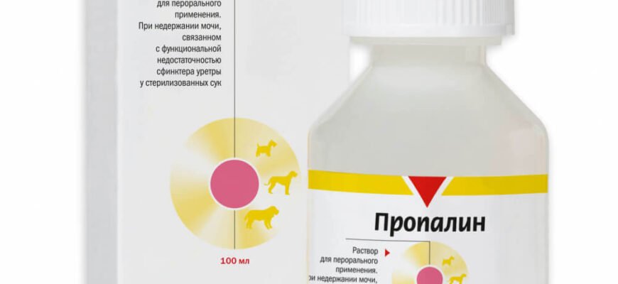 “Пропалин: Ключові Етапи та Їх Вплив на Сучасне Будівництво”