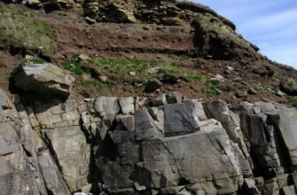 Чому материнська порода важлива для здоров’я та продуктивності тварин?