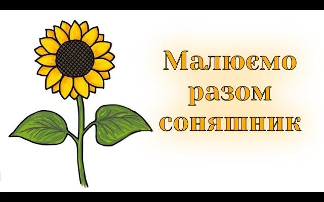 Як намалювати соняшник: покрокова інструкція для початківців художників